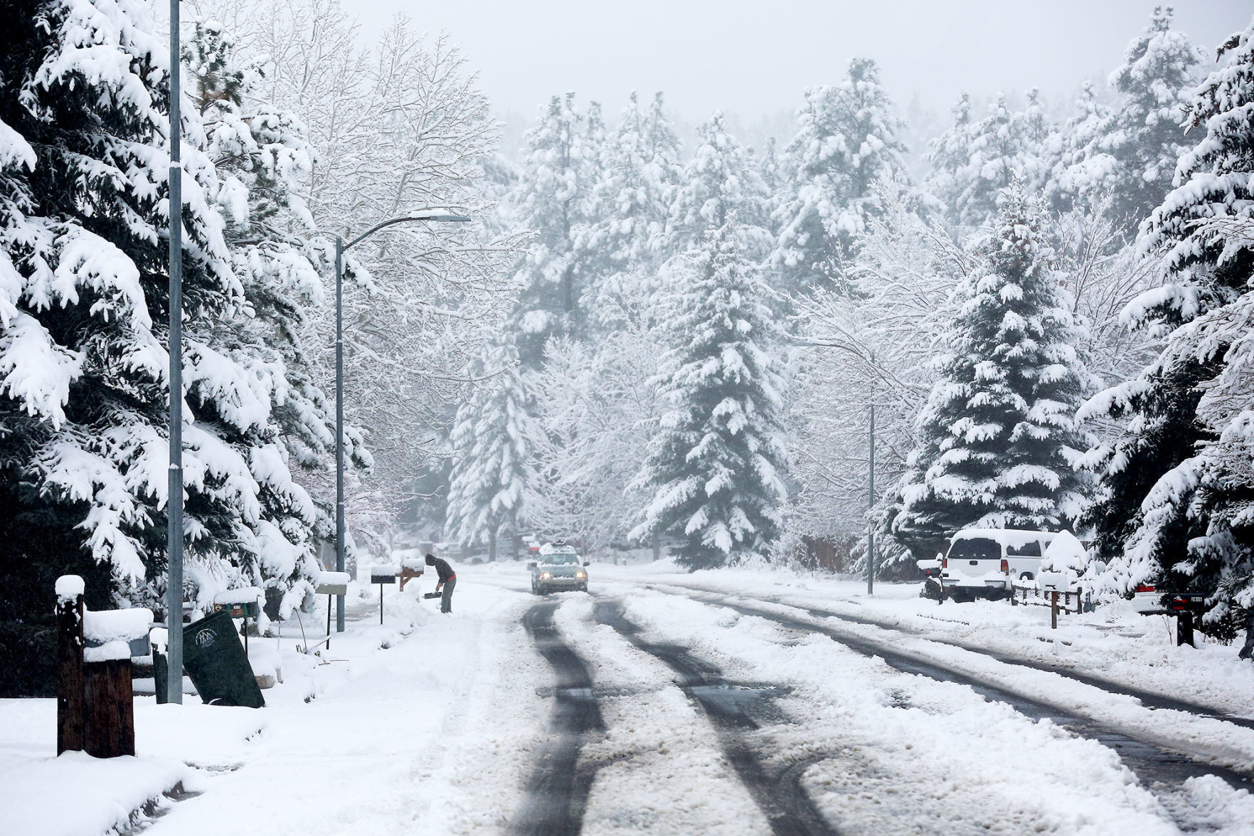 Winter Wonderland